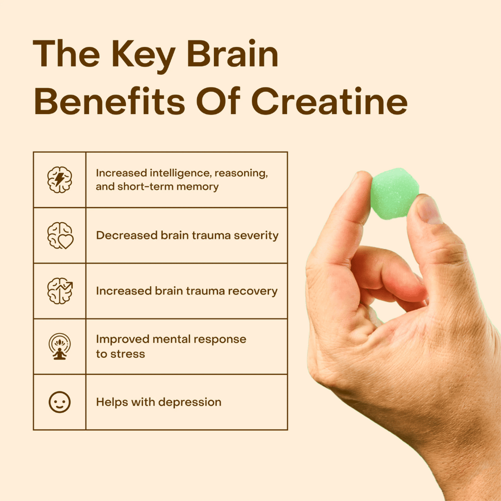 Creatine Monohydrate Gummies - Watermelon - Image 3