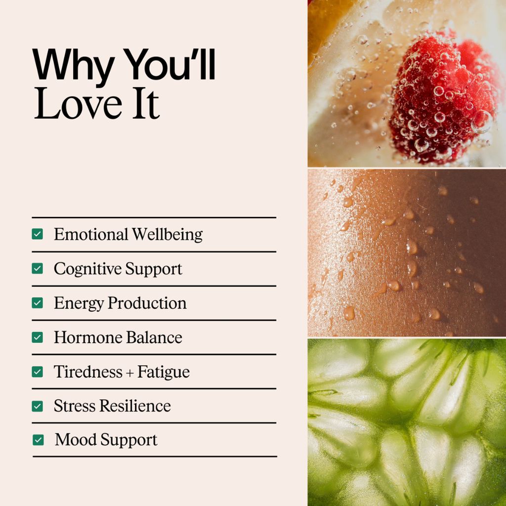 Enhanced Nootropics - Image 3