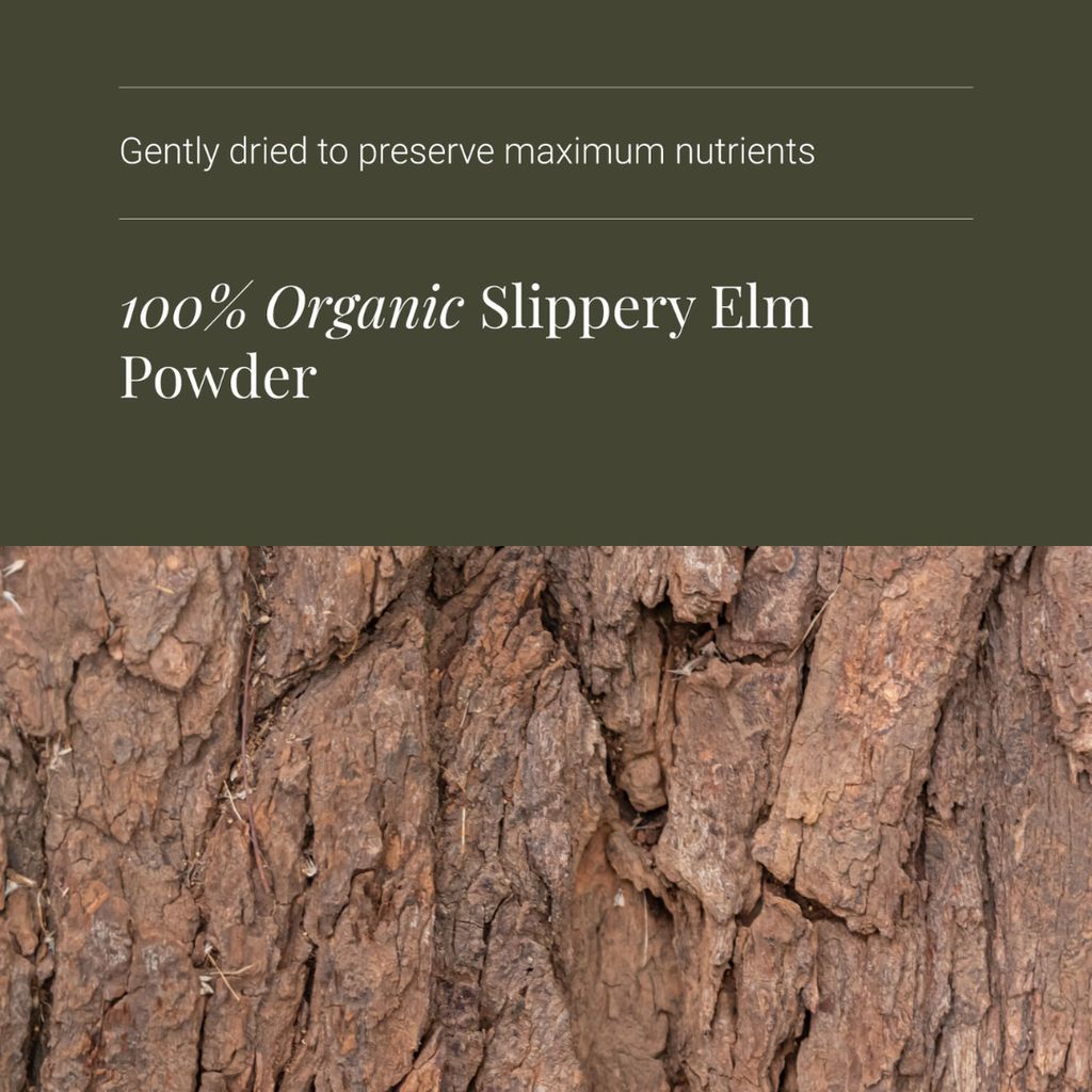 Slippery Elm Powder - Image 4