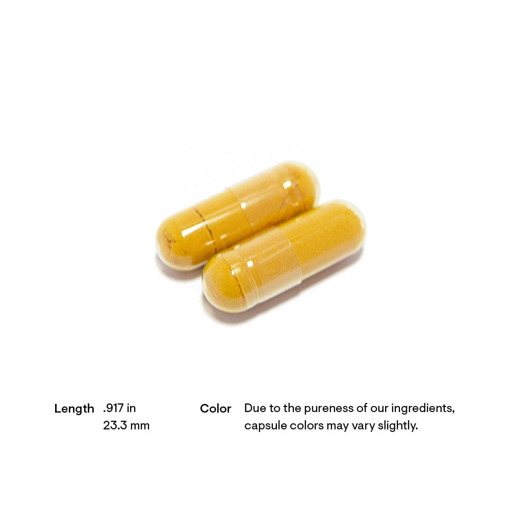 Milk Thistle Complex - Image 4